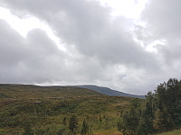 fredriks_20230902_64f35a992c424.jpg