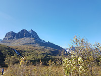 fredriks_20230921_650c1ccd457ad.jpg