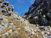 fredriks_20230921_650c1cdde9b16.jpg