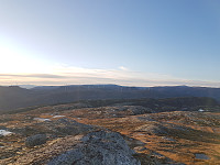 fredriks_20231029_653e2030bc3dc.jpg