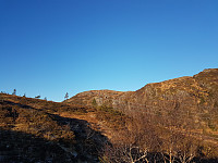 fredriks_20231029_653e20417d0ae.jpg