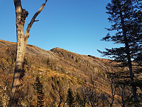 fredriks_20231029_653e204c999be.jpg