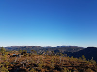 fredriks_20231029_653e20e22c13f.jpg