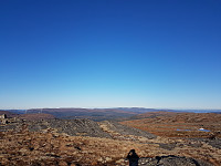 fredriks_20231029_653e21aa2078d.jpg