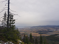 fredriks_20231105_6547cd21ba892.jpg