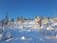 fredriks_20231203_656cc909a589c.jpg