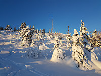 fredriks_20231203_656cc90d56d6d.jpg