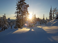 fredriks_20231203_656cc910d202d.jpg