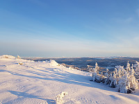 fredriks_20231203_656cc91b7ff0e.jpg