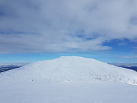 fredriks_20240324_6600914de6e9f.jpg