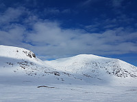 fredriks_20240324_6600914fd1af5.jpg