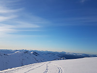 fredriks_20240328_6605c80d24bca.jpg