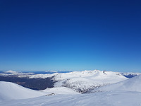fredriks_20240328_6605c91081d2e.jpg