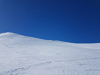 fredriks_20240328_6605c94c4b294.jpg