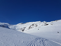 fredriks_20240328_6605c994c4053.jpg