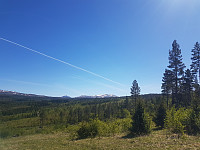 fredriks_20240521_664d092fd3d55.jpg