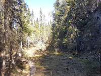 fredriks_20240521_664d09497dfb2.jpg