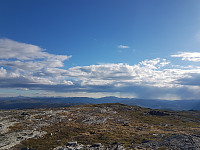 fredriks_20240616_666eae632015e.jpg