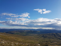 fredriks_20240616_666eae75966bc.jpg