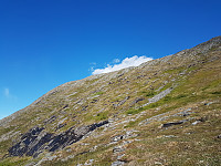 fredriks_20240616_666eae819ffa3.jpg