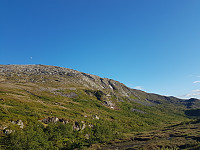 fredriks_20240616_666eae9d79149.jpg