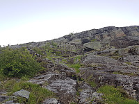 fredriks_20240616_666eaeda8fc83.jpg