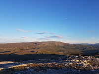 fredriks_20240616_666ecd944a66f.jpg