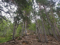 fredriks_20240703_6685a739bde06.jpg