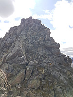 fredriks_20240705_6687861202be6.jpg