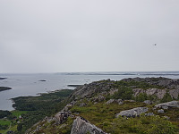 fredriks_20240711_668ff9853b3fb.jpg