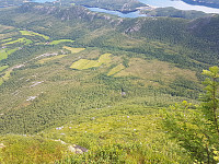 fredriks_20240711_668ffa6a82fb4.jpg