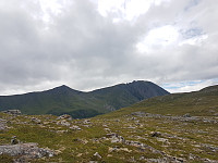 fredriks_20240711_668ffac8bd82d.jpg