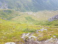 fredriks_20240711_668ffad21917f.jpg