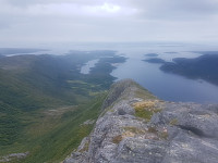 fredriks_20240711_668ffaf01da9a.jpg