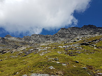 fredriks_20240715_6694dba33c904.jpg