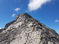 fredriks_20240715_6694dbc386b9a.jpg