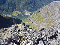 fredriks_20240715_6694dcbd437c7.jpg