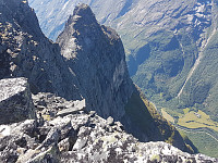 fredriks_20240715_6694dcc43cca8.jpg