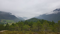 fredriks_20240717_669809eccbf0b.jpg