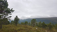 fredriks_20240717_66980a2c4f46e.jpg
