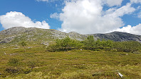 fredriks_20240721_669cd46b6951b.jpg