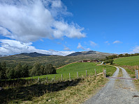 fredriks_20240818_66c1cbc780915.jpg