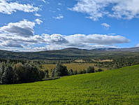 fredriks_20240818_66c1cbcc6af12.jpg