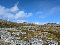 fredriks_20240818_66c1cbd0ce370.jpg