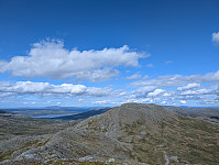 fredriks_20240818_66c1cbf9eb02c.jpg