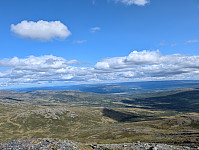 fredriks_20240818_66c1cbfd05729.jpg