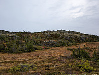 fredriks_20250105_677aff535c9fd.jpg