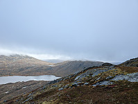 fredriks_20250106_677c47410d3d6.jpg