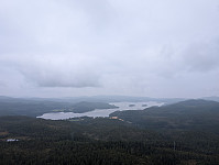 fredriks_20250107_677d642879dea.jpg
