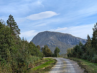 fredriks_20250108_677eef31b34ac.jpg